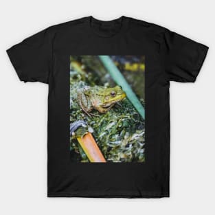 Green Frog, Green Cloak Photograph T-Shirt